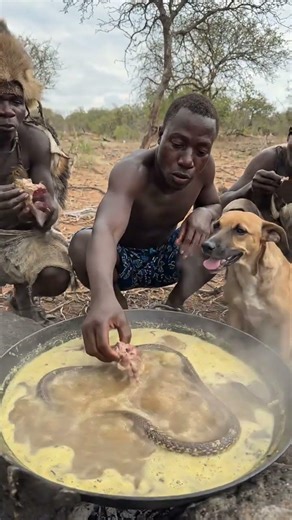 Primitive Cooking Without Modern Tools #Hadzabe #PrimitiveCooking #WildFood #shortsfeed