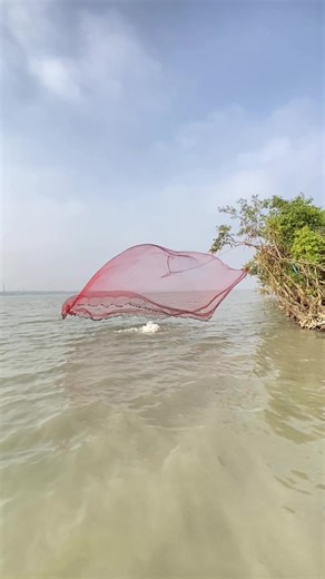 amazing catch fish by flying throw castnet fishing🐠🐟 #castnetfishing #river #flyingnet #catchfish #followers