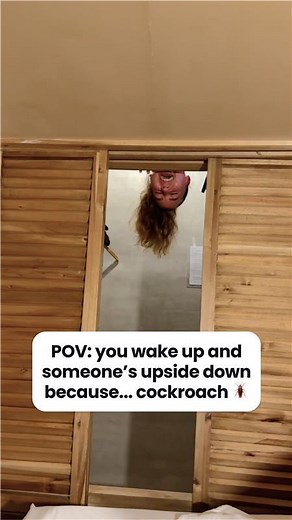 Cockroach: 1 Chill vibes: 0 But hey, they became friends🪳 👉 Book a roach-free room & meet friends on the Hostelworld app #Hostelworld #MeetTheWorld #HostelLife | Hostelworld
