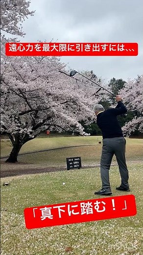 切り返しの一瞬、左足を「真下」へ踏み込む。飛距離が劇的に変わる垂直加重術。#ゴルフ #ゴルフスイング #飛距離アップ #左足の踏み込み #切り返し #TRUE1GOLF #垂直加重