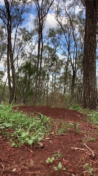 Unique Mini Bike Jumps on Carpet