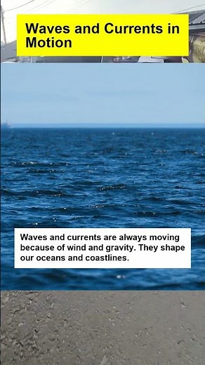 Waves and Currents in Motion - OTOMOTIPS