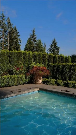 The best summer views in Vancouver #canada #travel #vacation