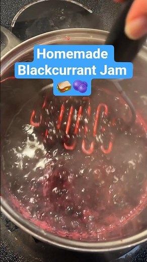 Homemade Blackcurrant Jam 🥪🫐