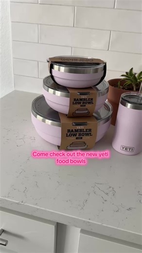 Obsessed with the new Yeti food bowls! #stackable #cherryblossom #dishwashersafe #pantry #foodstorage #fyp @YETI