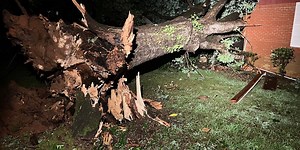 Storm topples trees, knocks out power to thousands in DeKalb County