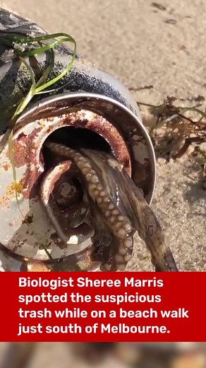 Not what you want to find in your soda | IFLScience