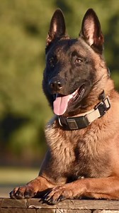 Saving on fuel in Texas just got easier. Sign up today to start earning points on every fuel transaction and qualifying in-store purchases. | Chevron