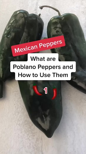 Mexican Peppers: All About Poblano Chiles