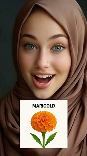 English Vocabulary: Common Flowers with Names & Images