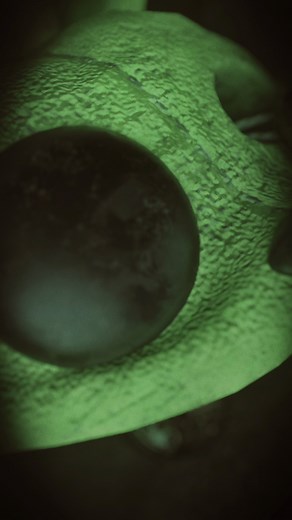 252K views · 8.1K reactions | experiment 1202 | Poppy Playtime | Facebook