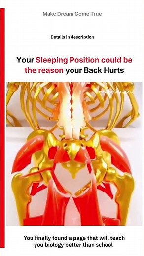 🛌 Your Sleeping Position could be 🦴 the Reason your Back Hurts 🩻 | MDCT