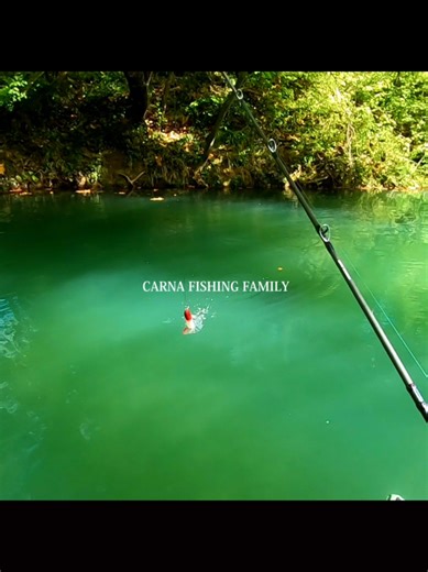 Catch Big Catfish on Topwater: Tips and Techniques