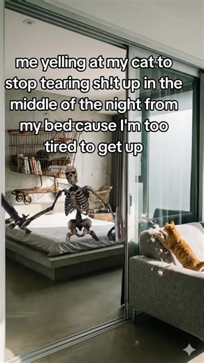 Skeleton Cat Scream Memes for Cat Owners