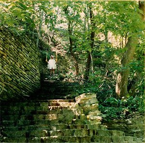 No Doctors - No Doctors