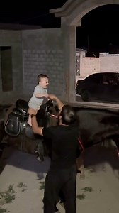 One year old, and he doesn't want to get off the horse anymore, what's next | Marwari Horse Lovers