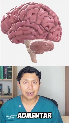 Circunvoluciones cerebrales: ¿por qué el cerebro tiene pliegues? #medicina #medico #cerebro