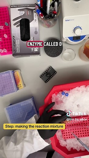 Amplifying DNA with PCR: A Step-by-Step Guide