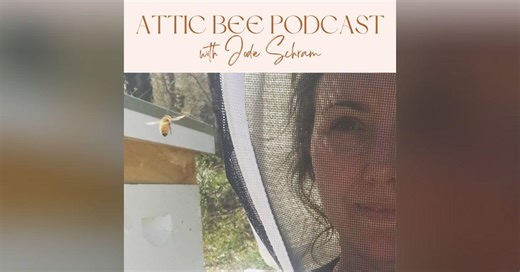 Honeybees and The Military | Attic Bee Podcast | Chris Wheedleton