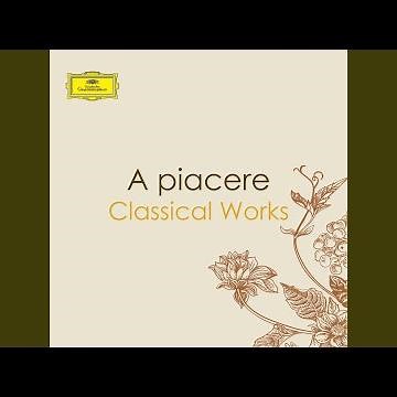 Beethoven: An die ferne Geliebte, Op. 98 (Arr. Liszt for Solo Piano as S. 469): No. 2, Wo die...