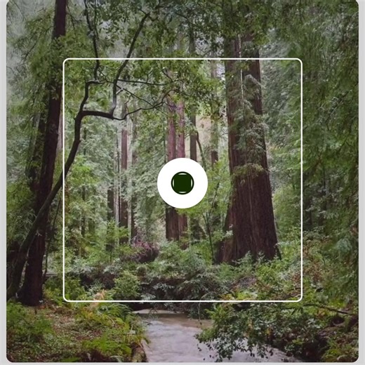 Go where cell service can’t with our all-new Offline Areas. Now available with AllTrails Plus. | AllTrails