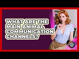 What Are The Main Animal Communication Channels? - The Everyday Why