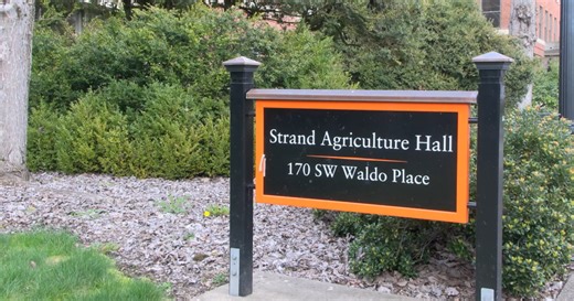 Oregon State researchers track Iran war damage with satellite imagery