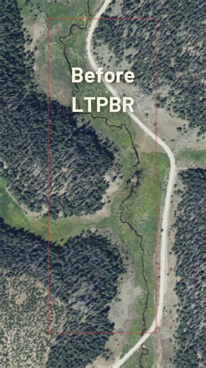 National Forest Foundation on Instagram: "See the transformation of Trail Creek from 2021 (left) to 2023 (right) with these interactive before-and-after satellite images! Thanks to low-tech, process-based restoration, this once-degraded stream is now a thriving ecosystem—even beavers have returned to help keep it that way. By mimicking natural stream processes, these treatments improve watershed health, store more water in the landscape, and reduce erosion. Click the link in our bio to use an in