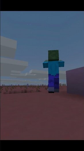 What Happens If I Put THORNS 255 on a Netherite Armour in MInecraft ?