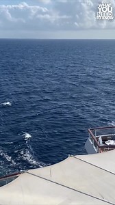 44K views · 268 reactions | Want to go on a cruise...forever? One cruise line is offering unlimited packages ranging from $350,000 - $1.8 million. Watch What You Need to Know for all the top headlines in under 10 minutes, now streaming on Disney+. https://abcnews.visitlink.me/pW8M6X[…]-FB-Awareness-Announce-US-DisneyPlus-NA-EN-SocialPost-NA-NA | ABC News | Facebook