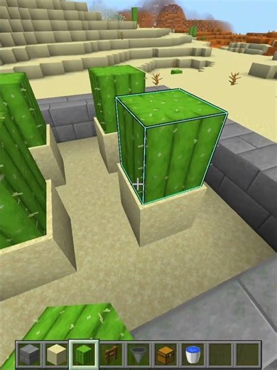 Minecraft Cactus Farm 🥀