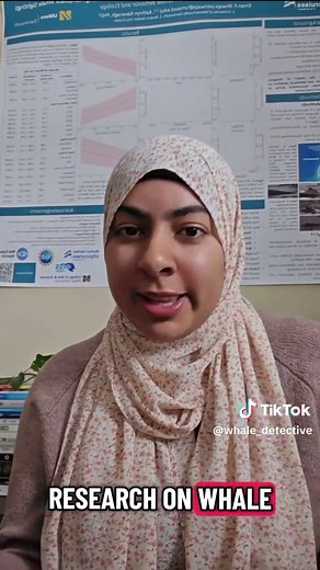 This video was a collaboration with @Dreams of a Scientist For Day 4 of World Whale Week, let’s talk about Pakicetus! Pakicetus is one of the earliest known whales, a four-legged mammal that lived over 50 million years ago in what is now Pakistan. Pakicetus fossils reshaped how we understand whale evolution. But here’s the part we don’t always hear: the discovery of Pakicetus and other ancient whales in South Asia and North Africa involved local researchers and communities, yet Western scientist