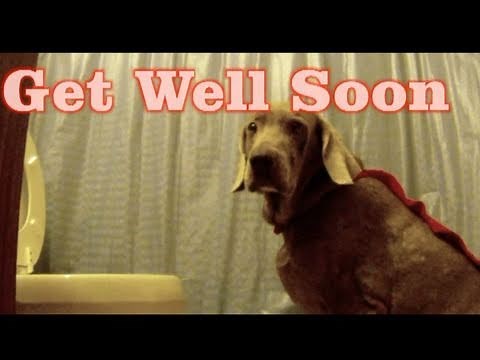 Get well soon video card hilarious send to sick friends