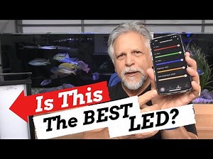 $300 FEATURE PACKED Aquarium LED for Under $100 *It Gets 4.5 Stars*