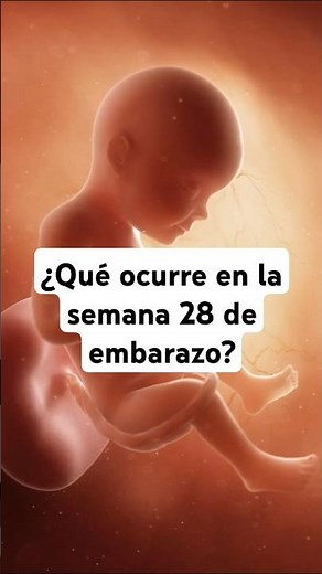 🤔 What happens at 28 weeks pregnant? 🤰 Symptoms and baby development