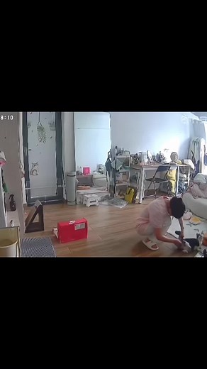 Nay chân nó dài chắc …..🥹🥹#trending #meogiangho #Hellocast #xuhuong #meosieuquay