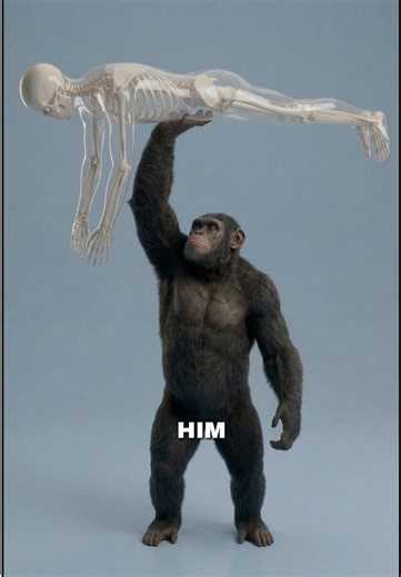 Which Monkey Would Break You?