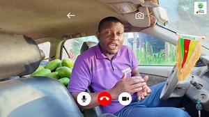 📊 Papaye vs Bananier Plantain : Quelle culture est la plus rentable en 2025–2026 ? En tenant compte des réalités agro-économiques du Cameroun et de l’Afrique centrale, ainsi que des itinéraires techniques normalisés CIPRESA, la culture de la papaye ressort comme la plus rentable, mais chaque spéculation a ses forces propres. ✅ 1. Rentabilité – Comparatif direct 📘 Papaye (Calina IPB9, Solo, Goliath) Cycle de production : 8–10 mois après plantation Durée de production : 2 à 3 ans Rendement moyen