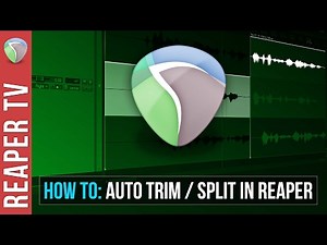 Reaper Tutorial: Auto Split / Trim Basics