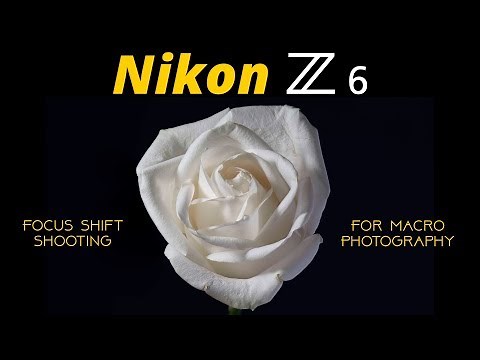 Nikon Z6 Focus Shift Shooting Feature for Focus Stacking Macro