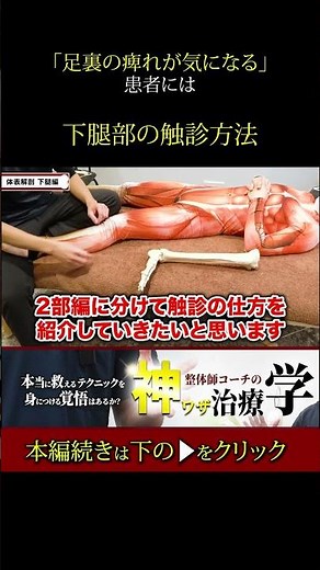 [A Must-See for Osteopaths] Palpation Techniques of the Lower Leg to Detect Numbness in the Soles...