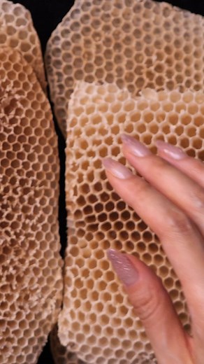 Satisfying Beeswax Honeycomb Crushing - ASMR Sounds