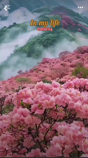 ##musiclover🎶🎶🎵 #fyp💋🎤🎼🎶🎧🎸🎺🎻 #🎹🎷🥁📻📢