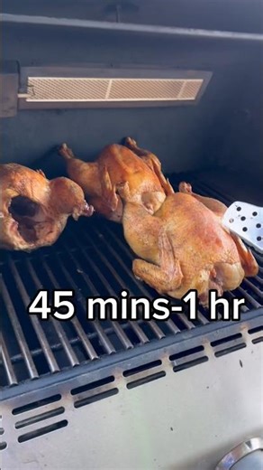 Whole Pastured Chicken-On the Gas Grill??
