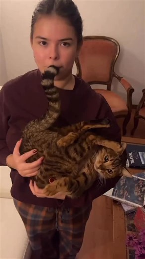 Le Média Breton on Instagram: "Connaissez-vous la « différence » entre biniou et cornemuse ? S’il en existe une ! 📸 vidéo d’introduction : Isaac Bradshaw #bretagne #fyp #pourtoi"