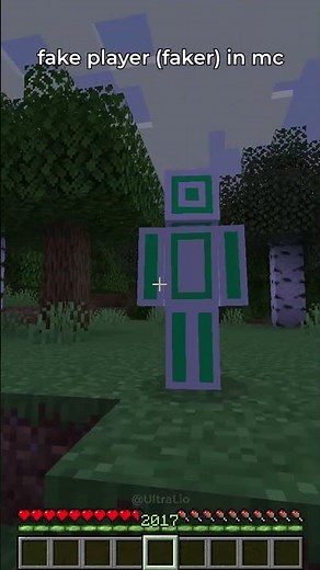 fake player faker in #minecraft 🧍