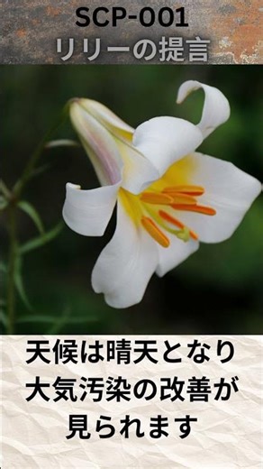 ページ1、SCP-001とは何か