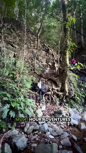 50 reactions · 5 comments | Why settle for one when you can enjoy two pairs for the price of one?  Forget shipping fees and overpriced shoes — with Hike Balance, you get comfort, support, and real relief without the extra cost. Join 100,000+ Americans who finally said goodbye to foot pain and hello to freedom. For a limited time: Buy 1 pair, Get 1 FREE.  Don’t wait — comfort is better in twos! https://try.hikebalance.com/hike-balance/pre-us-bogo | Ortho Balance | Facebook