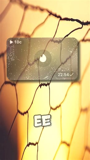 #minecraft #foxes #snowy