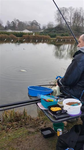 Charlie's having and sharing the Fun on the whip on Dodds water..To all our club members, visitors to WAC our Facebook followers we wish you all the greatest happiness, health for the new year ahead Happy New year 2026. Tight lines 🎣🐟 WAC and Committee. | Waterbeach Angling Club